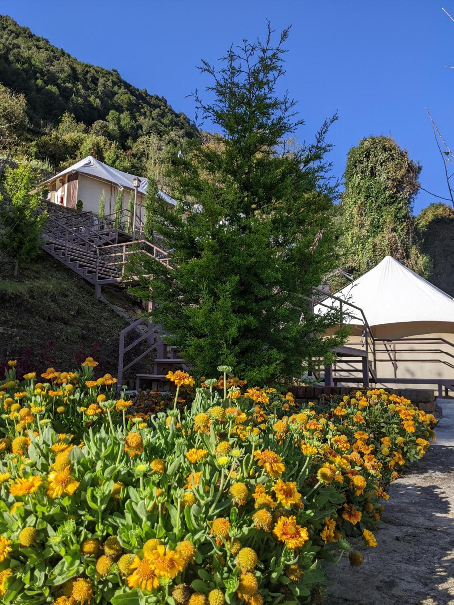 The Bugyal Hotel Kanatal Exterior photo